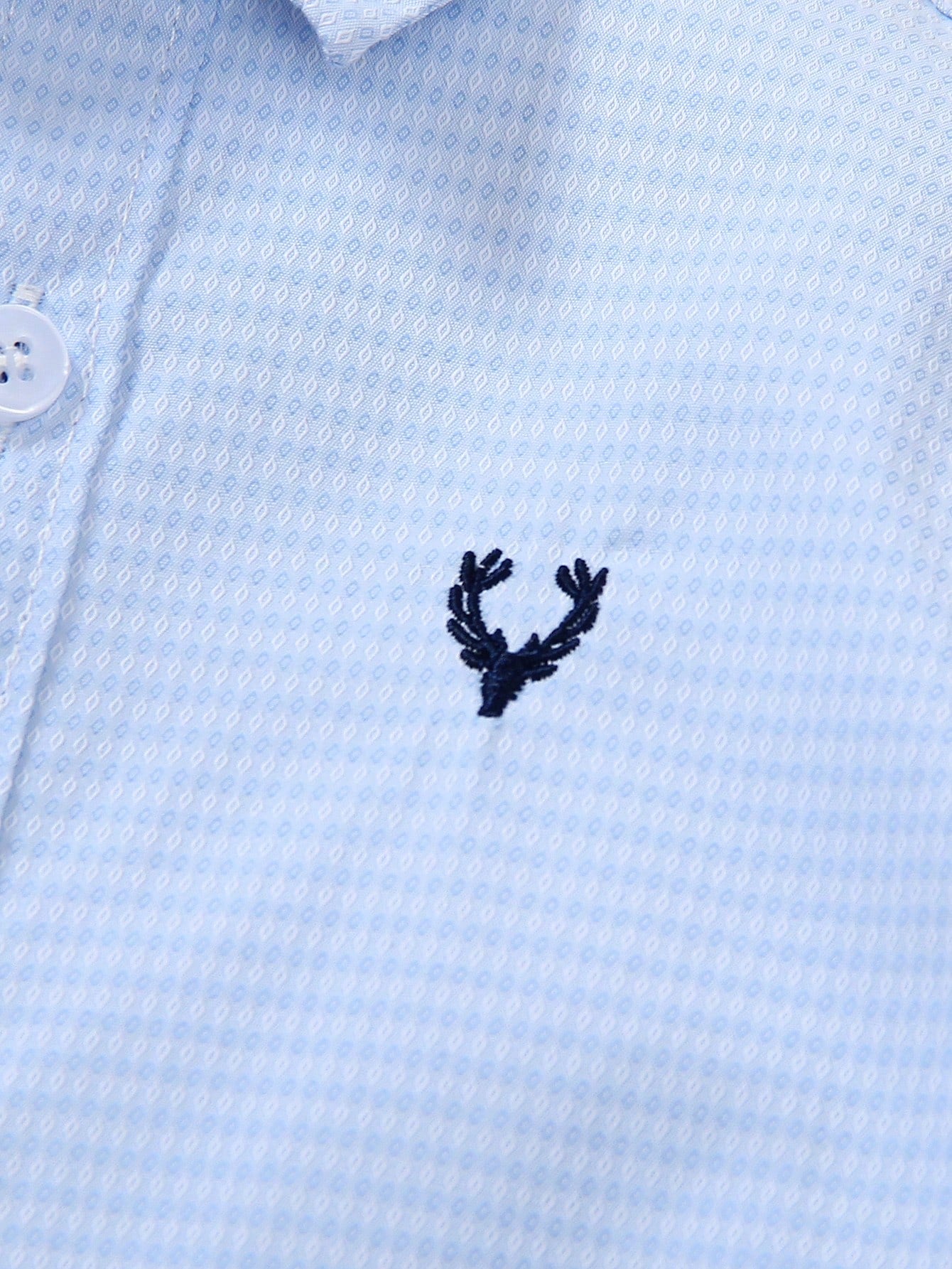 Young Boy 1pc Light Blue Embroidered Long Sleeve Casual Shirt, Thin Jacquard Fabric, Suitable For Birthday Parties, Galas, Baptisms, And Christenings, Spring And Autumn